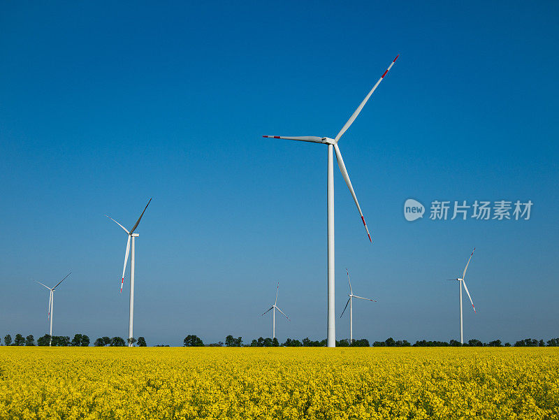 Wind Turbines of Alternative Energy Production in Rapeseed Field. View of Wind Turbine Providing Sustainable Energy by Spinning Blades. Natural Renewable Wind Resources on colza field